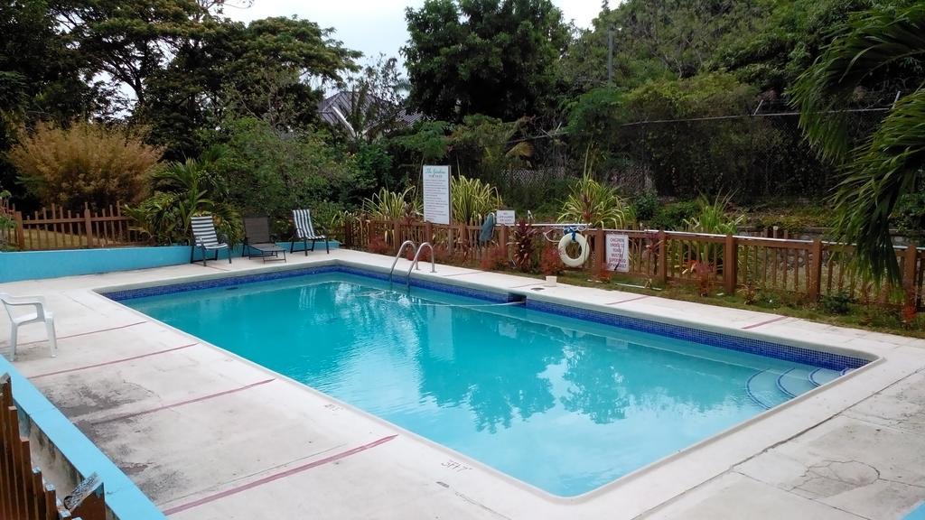 הוילה קינגסטון The Gardens מראה חיצוני תמונה