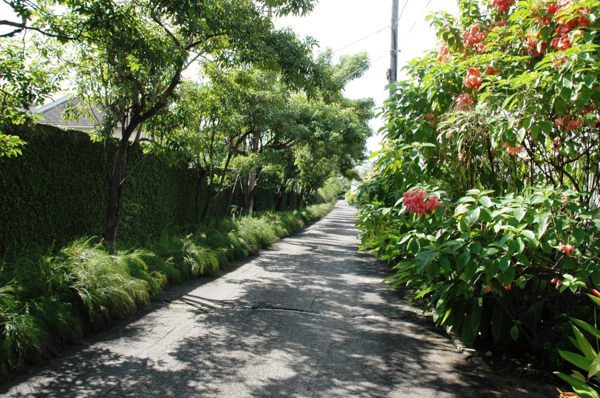 הוילה קינגסטון The Gardens מראה חיצוני תמונה