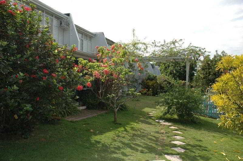 הוילה קינגסטון The Gardens מראה חיצוני תמונה